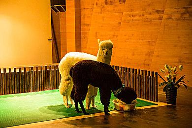 《地球防卫军6》3月14日直播 公布新DLC以及玩家赠礼